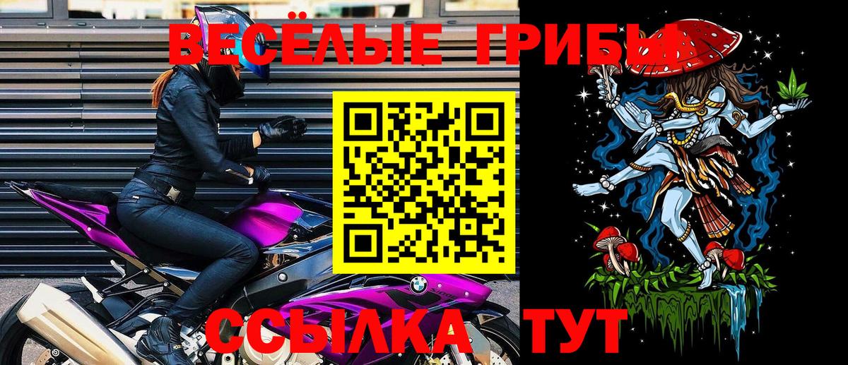 Псилоцибиновые грибы ЛСД Назрань