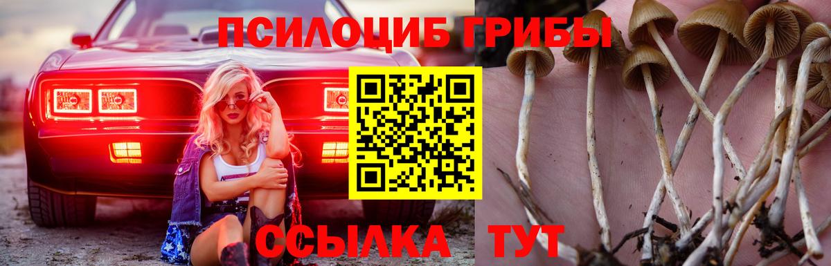 Галлюциногенные грибы прущие грибы  Вход с VPN  Назрань  Псилоцибиновые грибы Magic Shrooms 